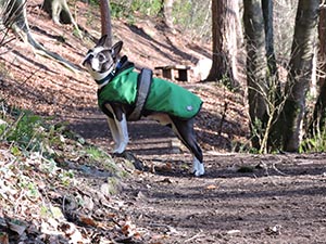 January 2017 Photo 27